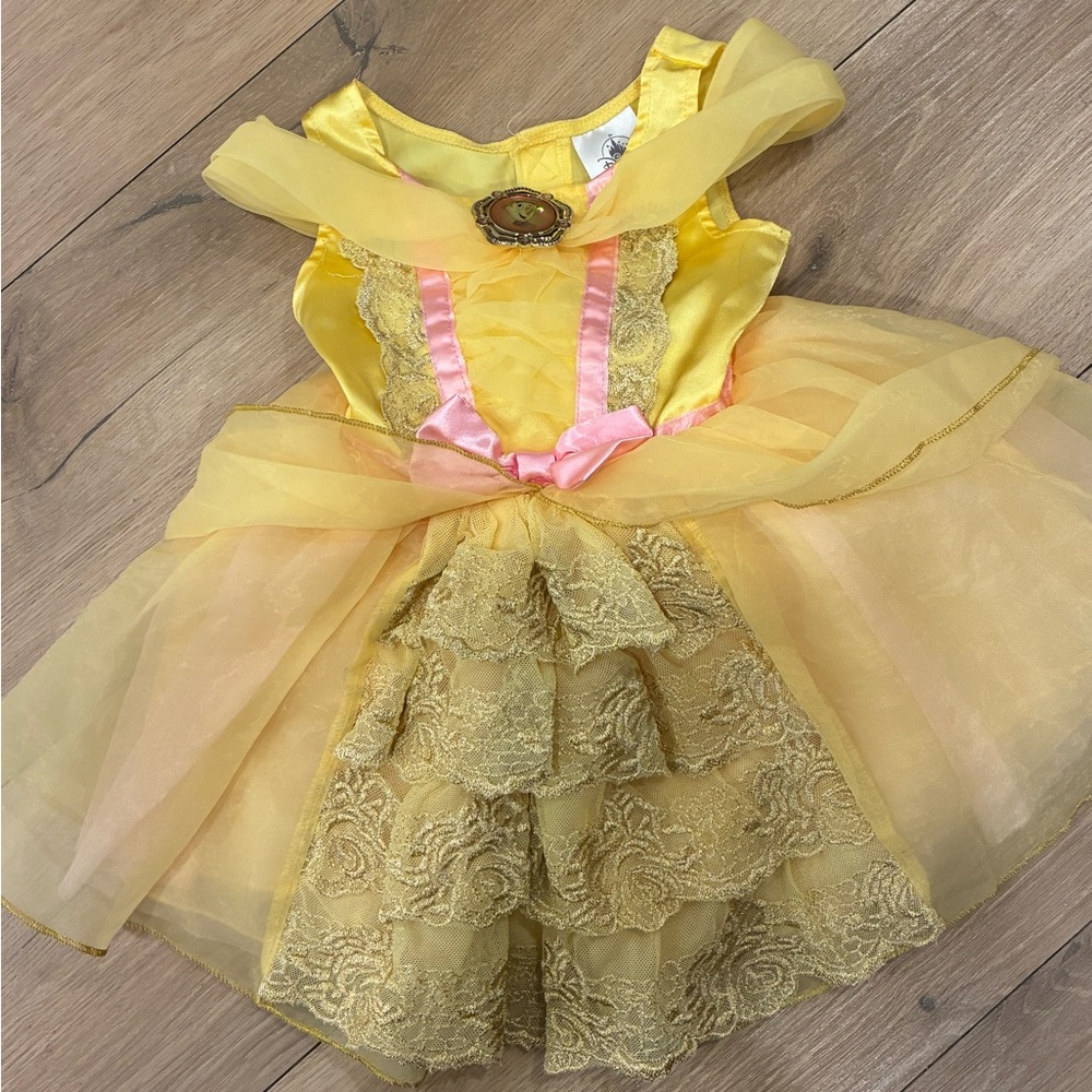 Disney Yellow and Pink Princess Costume